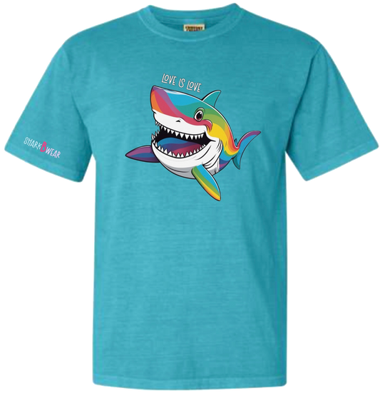 "Skyler" - Love Is Love T-Shirt - LARGE